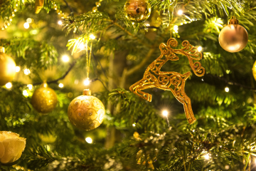 3rd Annual Holiday Show 2018